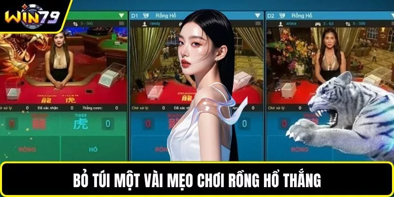 Bỏ túi một vài mẹo chơi Rồng Hổ thắng