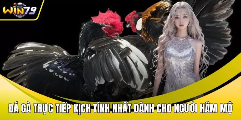 Đá gà trực tiếp