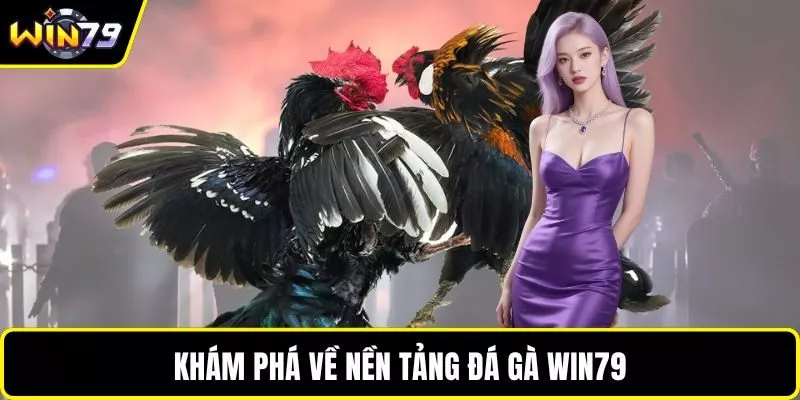Khám phá về nền tảng đá gà WIN79
