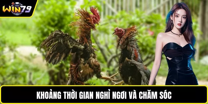 Khoảng thời gian nghỉ ngơi và chăm sóc