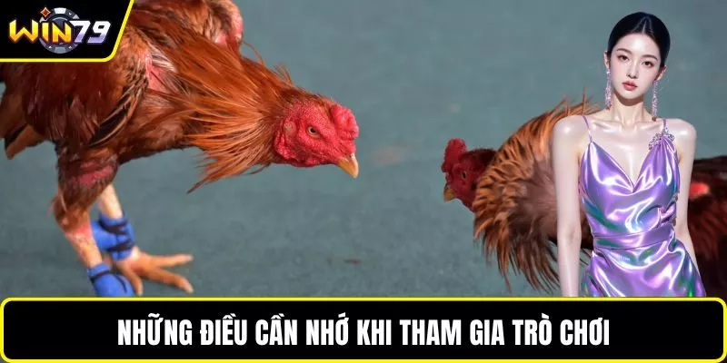 Những điều cần nhớ khi tham gia trò chơi