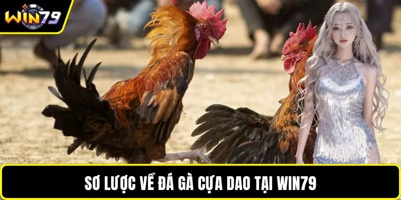 Sơ lược về đá gà cựa dao tại WIN79