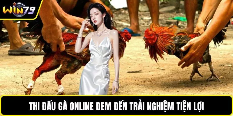 Thi đấu gà online đem đến trải nghiệm tiện lợi