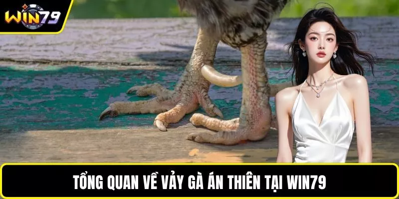 Tổng quan về vảy gà án thiên tại WIN79